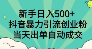 新手日入500+,抖音暴力引流创业粉,当天出单自动成交-云创网