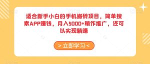 适合新手小白的手机搬砖项目，简单搜素APP赚钱，月入5000+稍作推广，还可以实现躺赚【揭秘】-云创网