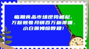 临期食品市场逆势崛起,万粉账号月销百万新渠道,小白保姆级教程【揭秘】-云创网