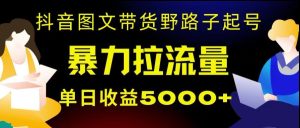 抖音图文带货暴力起号,单日收益5000+,野路子玩法,简单易上手,一部手机即可【揭秘】-云创网