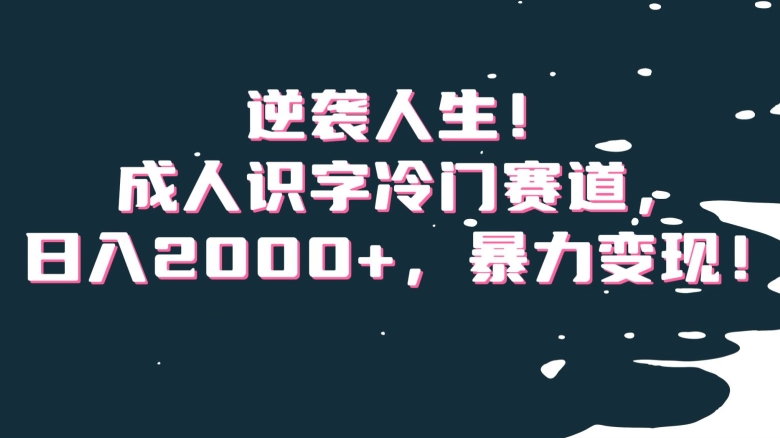 逆袭人生！成人识字冷门赛道，日入2000+，暴力变现！【揭秘】-云创网