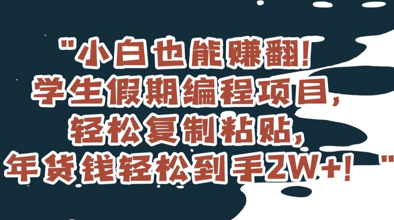 小白也能赚翻！学生假期编程项目，轻松复制粘贴，年货钱轻松到手2W+【揭秘】-云创网