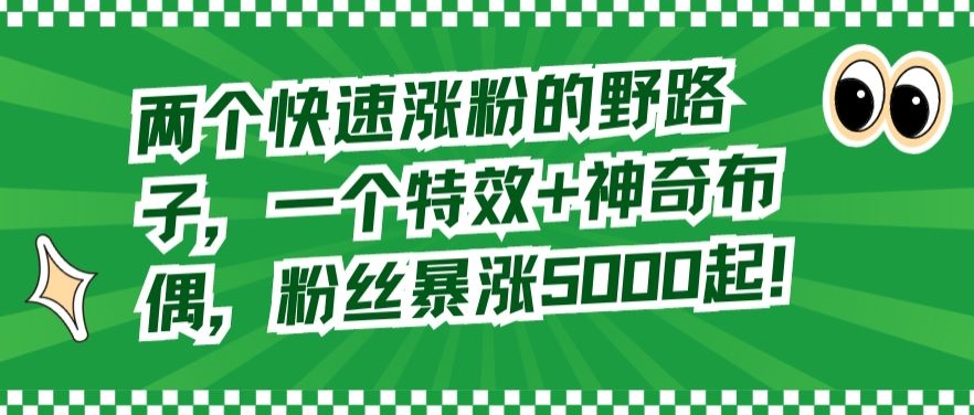 两个快速涨粉的野路子，一个特效+神奇布偶，粉丝暴涨5000起【揭秘】-云创网