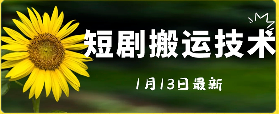 最新短剧搬运技术，电脑手机都可以操作，不限制机型-云创网