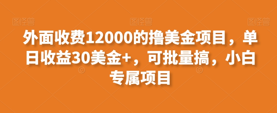 外面收费12000的撸美金项目，单日收益30美金+，可批量搞，小白专属项目-云创网